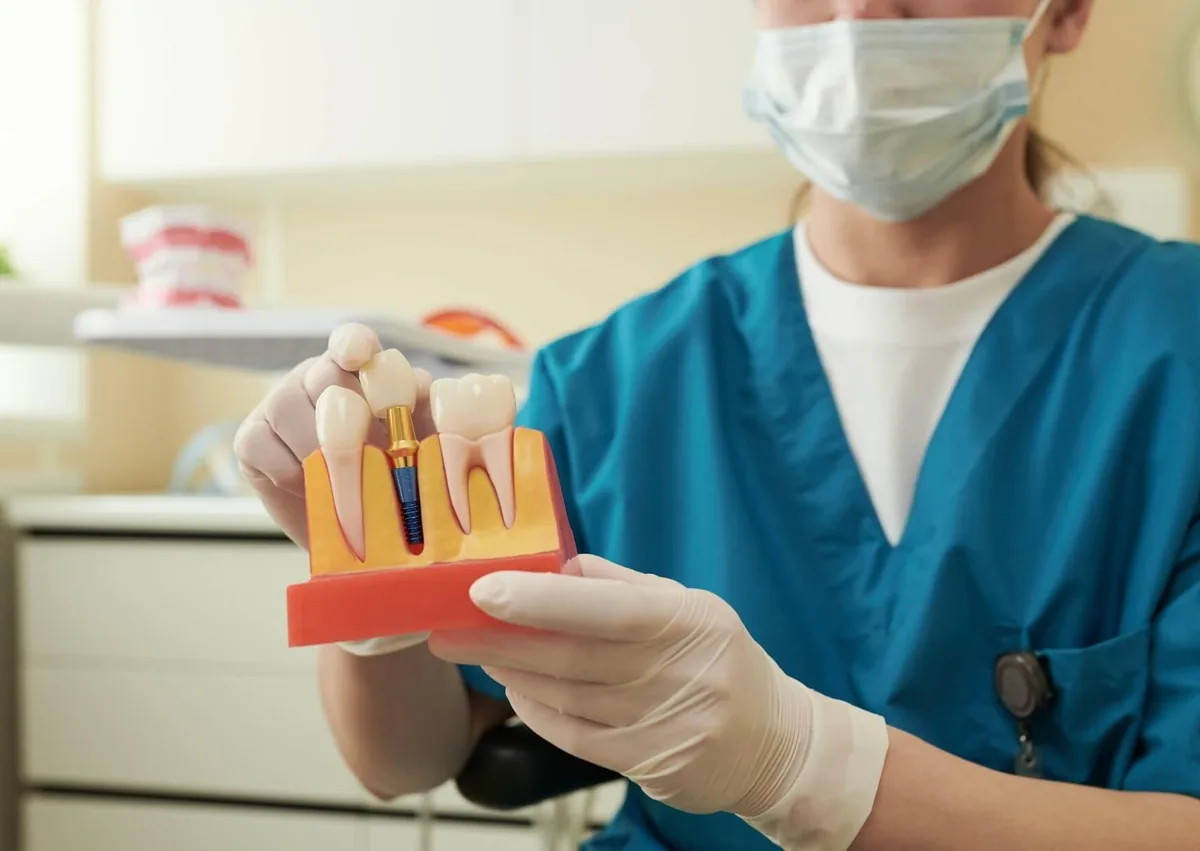 Dental professional demonstrating an implant model while explaining affordable dental implant options for replacing a missing tooth.